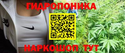 PSILOCYBIN Донской