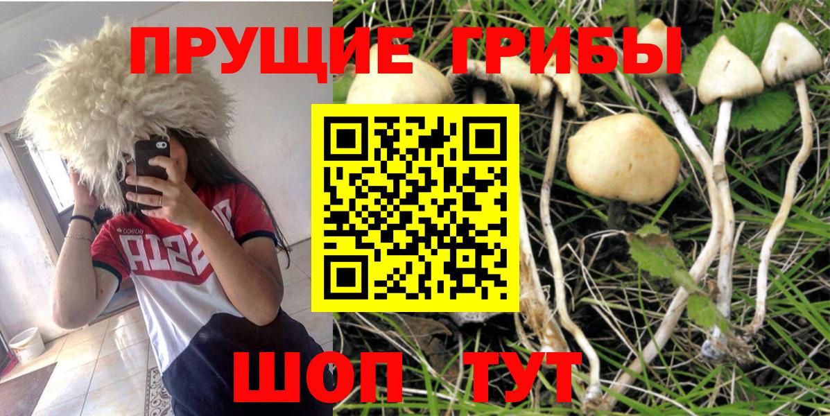 Псилоцибиновые грибы мухоморы Черняховск