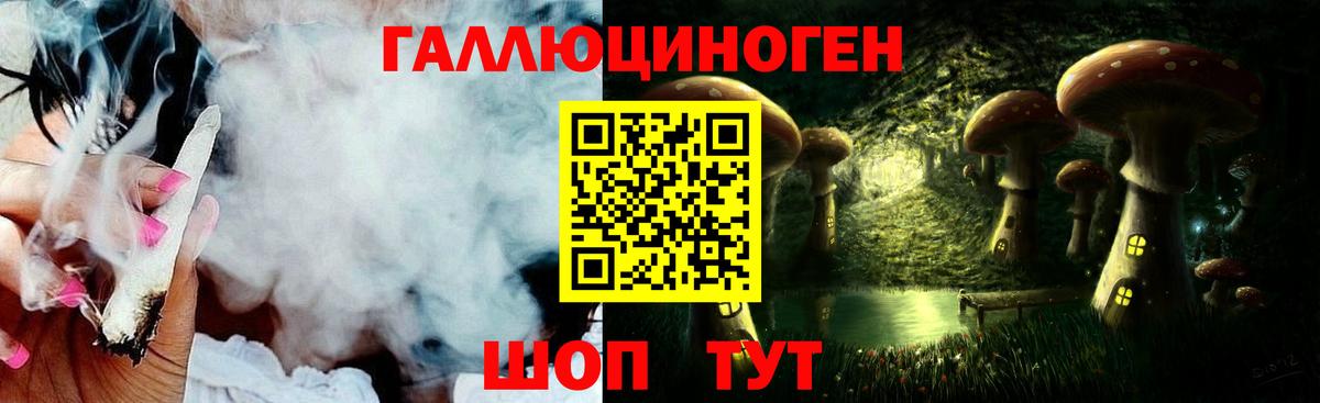 Галлюциногенные грибы Psilocybine cubensis  Вход с VPN  Черняховск 